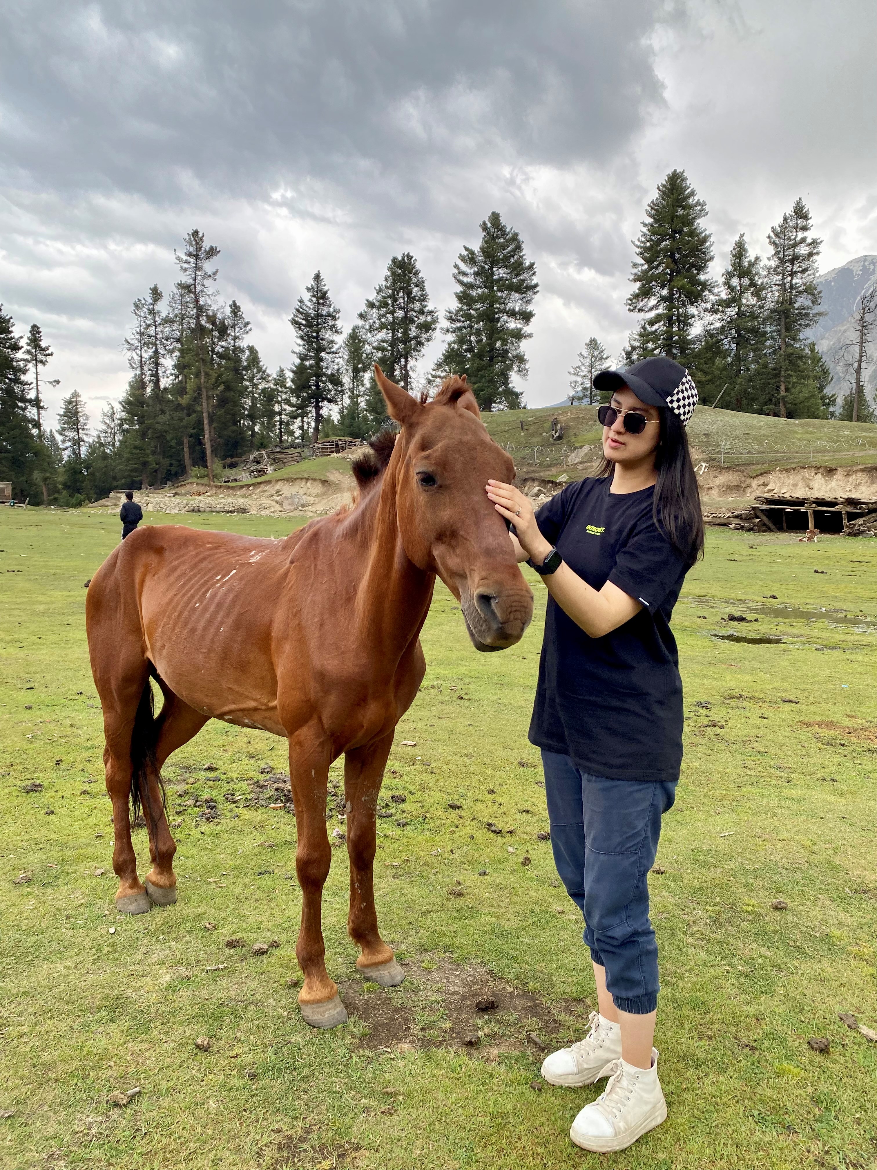 Horse Riding